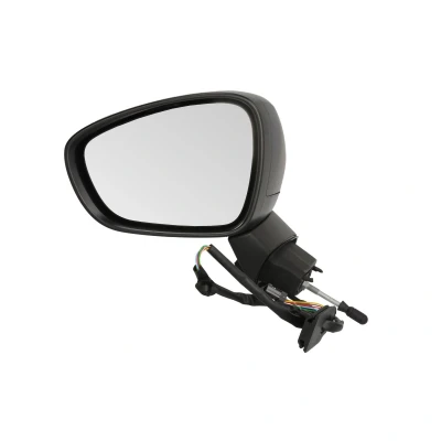 Imagen de Espejo retrovisor Spj E 2525 sin luz intermitente izquierda imprimado eléctrico convexo CITROËN: C3 Picasso, C4 I Grand Picasso 1