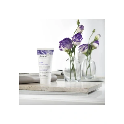 Imagen de Ahava Clineral Sebo Facial Balm Cream 50 ml