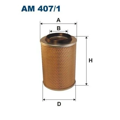 Imagen de Filtro de aire FILTRON AM 407/1
