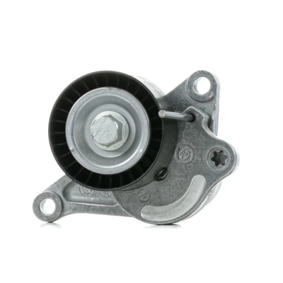 Imagen de FEBI BILSTEIN 36831 Tensor de Correa RENAULT: MASTER 3 Kasten, SCENIC 2, LAGUNA Grandtour, NISSAN: Qashqai / Qashqai+2 I, OPEL: Vivaro A Combi