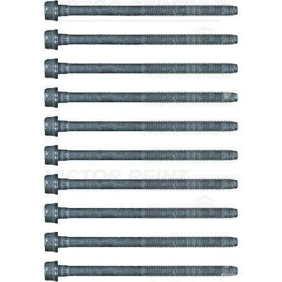 Imagen de REINZ 14 17428 01 Juego de Tornillos Culata Torx interior FIAT: Tipo Familiar