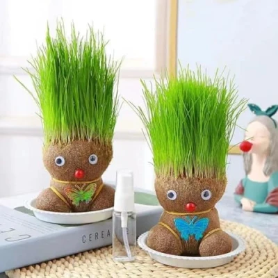 Imagen de Muñeco Crece s Cesped Y Flores, 2 Piezas Grass Head Doll, Cabeza De Hierba con para Niños Adultos,Maceta Muñeca, Plantas En Maceta Niños, Verdes Escritorio