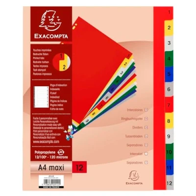 Imagen de Exacompta Ref. 2512E Cartón de 20 separadores polipropileno con 12 pestañas impresas digitales 1 a en color Página indexación imprimible para A4 maxi Dim 24,5 x 29,7 cm