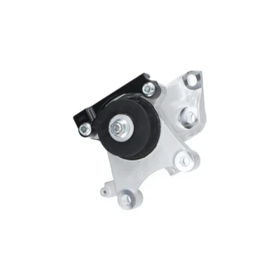 Imagen de KAVO PARTS EEM 10008 Soporte de motor izquierda HONDA: CR V 3