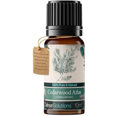Imagen de Cedro (China) 100% Aceite Esencial Aromatherapy 10ml