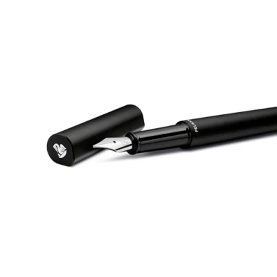 Imagen de Pelikan Ineo Elements 823593 Pluma estilográfica (1 unidad, en caja plegable), color negro