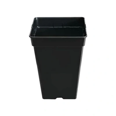 Imagen de GROWMANIA Pack 10 Macetas Cuadradas para Plantas Negra 7L Diez Maceteros de Plástico Flores 20x20x24,5 cm Base 16x16