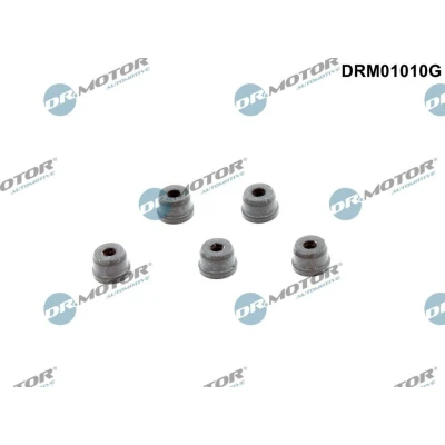 Imagen de Juego de reparación, cilindro maestro del embrague Dr.Motor Automotive DRM01010G