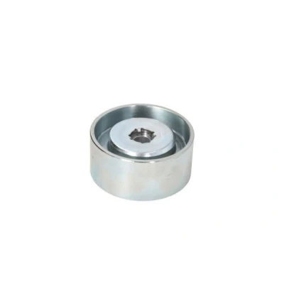 Imagen de Polea tensora/guía, correa trapezoidal BTA B05 02 074