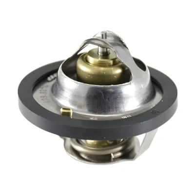 Imagen de Termostato RMS 10 012 0320