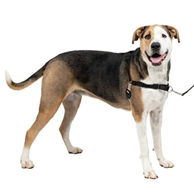 Imagen de PetSafe Easy Walk Arnés Antitirones para Perros, 4 Puntos de Ajuste, Adiestramiento Evita Asfixia, Fácil Poner y Quitar Negro Muy Grande, XL