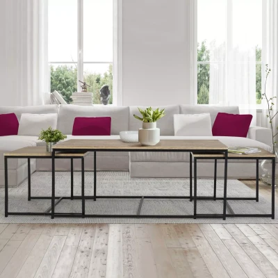 Imagen de IDMarket Detroit Juego de 3 mesas bajas (113 cm), diseño industrial