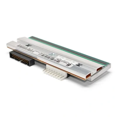 Imagen de Zebra P1004234
