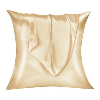 Imagen de Lirex 2 Paquetes Funda Almohada Satinado, Microfibra de Color Sólido Suave Sin Arrugas Resistente a la Decoloración Respirable (60 x 60 cm, Champán)