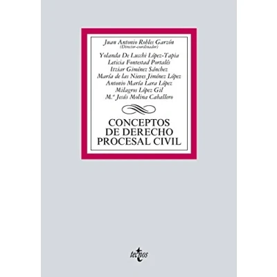 Imagen de Conceptos de Derecho procesal civil (Derecho Biblioteca Universitaria Editorial Tecnos)