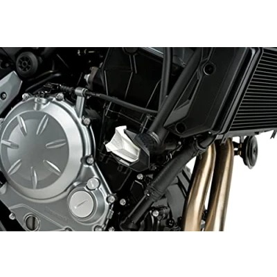 Imagen de Puig Recambios Protector de Motor R19