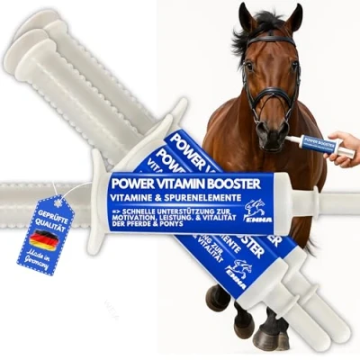 Imagen de Pasta vitamínica para Caballos I Potenciador de energía Vitaminas B Complejo vitamínico B12 Lisina Zinc Minerales Fortalece el Sistema inmunológico Vitamina E Oligoelementos Oldie Mares 3pc.