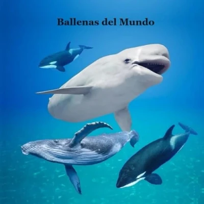 Imagen de ballenas del mundo Libro para Niños: Gran manera que los niños conozcan a las