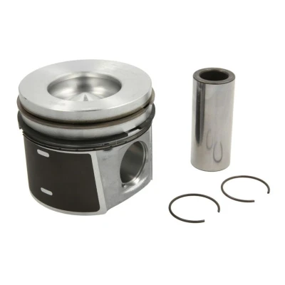Imagen de NÜRAL 87 437007 10 Pistóns 83 con soporte segmento pistón, Biela trapecial FORD: Tourneo Connect, Transit Connect Mk1 Furgón