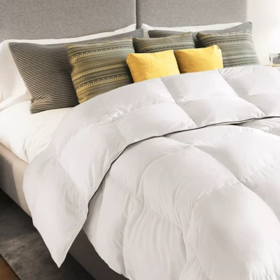 Imagen de IDMarket Edredón de 220 x 240 cm, pluma ganso, 500 g/m2, antiácaros