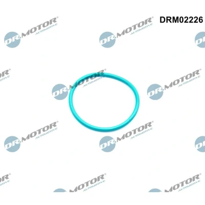 Imagen de DR.MOTOR AUTOMOTIVE DRM02226 Juntas hacia la recirculación de gases escape FORD: FOCUS 3 Turnier, Mondeo 5, S Max Mk1