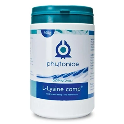 Imagen de Phytonics L Lysine Comp 500g