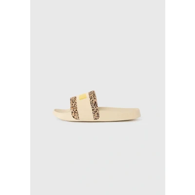 Imagen de Chanclas Leadcat 2.0 Animal Flair para mujer