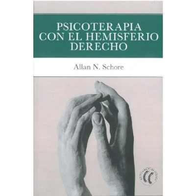 Imagen de Psicoterapia con el hemisferio derecho (SIN COLECCION)