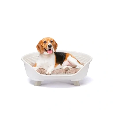 Imagen de Ferplast Cama Perro y Gato con Cojin Algodon, Elevada Perro, para Perros Medianos, Cesta Gato, Transpirable Antideslizante, Throne 70,5 x 52 h 28,5 cm, Blanco