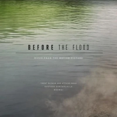 Imagen de Before The Flood [Vinilo]