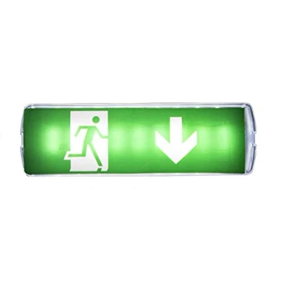 Imagen de Hepoluz Hl306L 084 014 0002 emergencia 18 led recargable