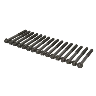 Imagen de REINZ 14 32238 02 Juego de Tornillos Culata Torx exterior