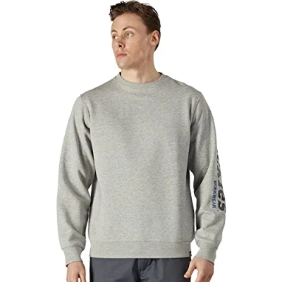 Imagen de Dickies Hombre, Sudadera con estampado gráfico Okemo (BCI), GRIS MELANCA, M