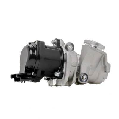 Imagen de PIERBURG 7.24809.39.0 Válvula EGR eléctrico electromagnética con junta CITROËN: Xsara Picasso, C4 Picasso 1, Berlingo II, FORD: Focus 2