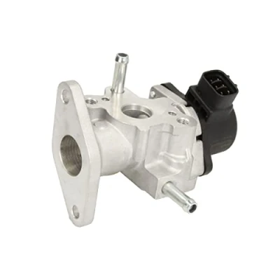 Imagen de Válvula EGR DELPHI EG10483 12B1
