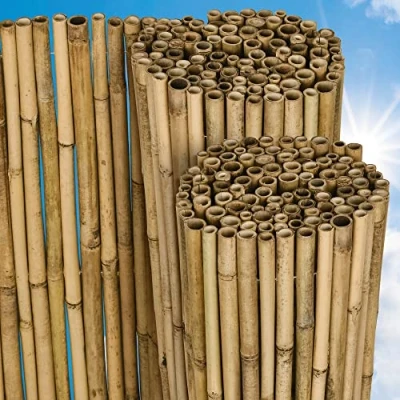 Imagen de Sol Royal Valla de bambú Protectora SolVision B38 90 x 250 cm (A L) Estera privacidad Visual y Viento Natural Balcones terrazas Jardines barandas Cerca con cañas Gruesas
