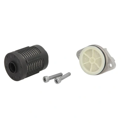 Imagen de BorgWarner DS2002968 Filtro hidráulico, embrague Haldex VOLKSWAGEN: Tiguan I, Passat B6 Variant, Caddy 3, AUDI: TT Coupé, A3 Sportback, Hatchback