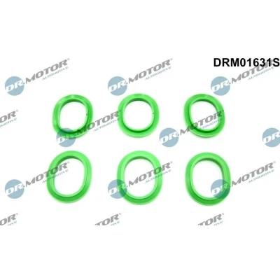 Imagen de Juego de juntas, colector admisión Dr.Motor Automotive DRM01631S