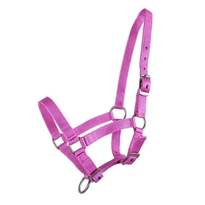 Imagen de QHP Halter Foal