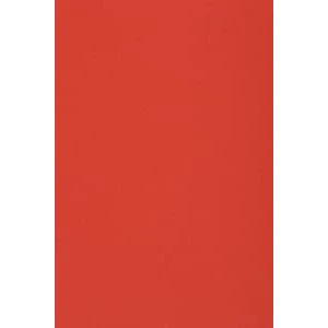 Imagen de Netuno 10x cartón color rojo DIN A3 297x420mm 250g Burano Rosso Scarlatto papel doble cara cartulina para impresora inkjet scrapbooking invitaciones boda manualidades tarjetas bricolaje cartas menú