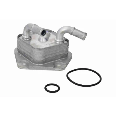 Imagen de ACKOJA A26 60 0008 Radiador de aceite, transmisión automática