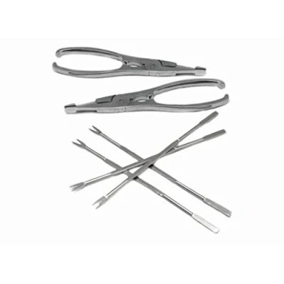 Imagen de Nerthus FIH 384 Set de utensilios para marisco Plata