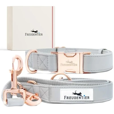 Imagen de FREUDENTIER® Correa y Collar para Perros de Piel Vegana en Elegante Set Incluye Caja Regalo Colección Hyde Park Resistente al Invierno fácil Limpiar (3042 cm)