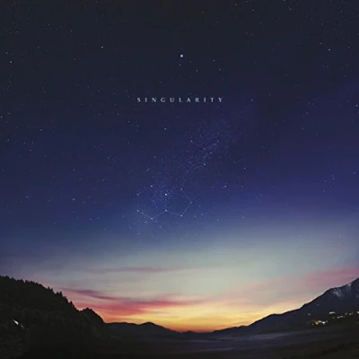 Imagen de Singularity [Vinilo]