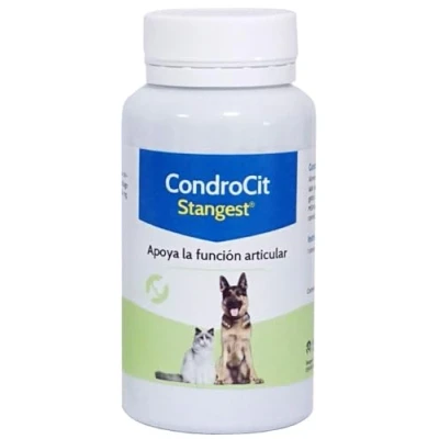 Imagen de Stangest Condrocit 60Cpd