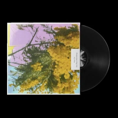 Imagen de Into Dust Still Falling Vinilo Single 12 Four Tet