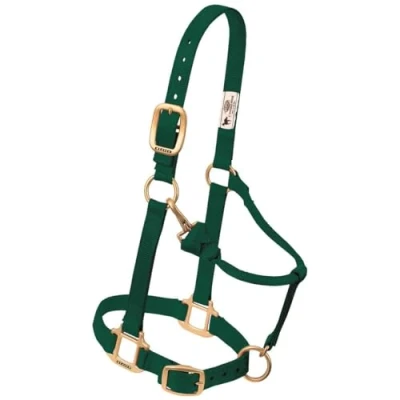 Imagen de Weaver Leather Original Ajustable Nylon Caballo Halter, Weanling/Pony, Hunter Verde