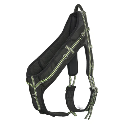 Imagen de Imperial Riding Lunging Girth Nova