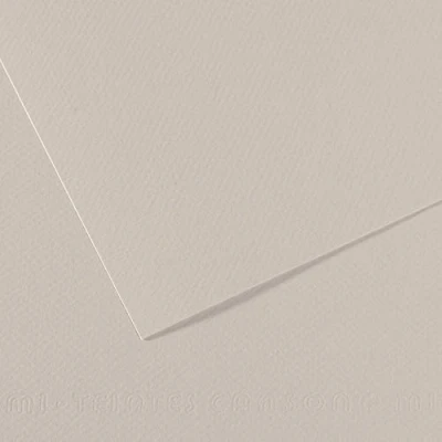 Imagen de Canson Mi Teintes Papel de Color Pulpa Teñida, 160 g/m2, Gris (Pearl Grey 120), 29,7x46, Pack 10