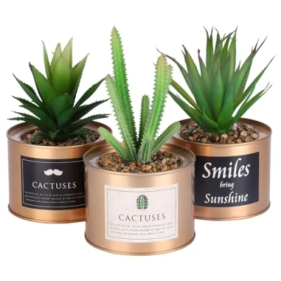 Imagen de BELLE VOUS Pack de 3 Mini Plantas Artificiales Decorativas en Maceta Metal Cobre 10 x 7,5 cm Planta Artificial Suculentas Cactus Macetas Hogar y Escritorio Oficina